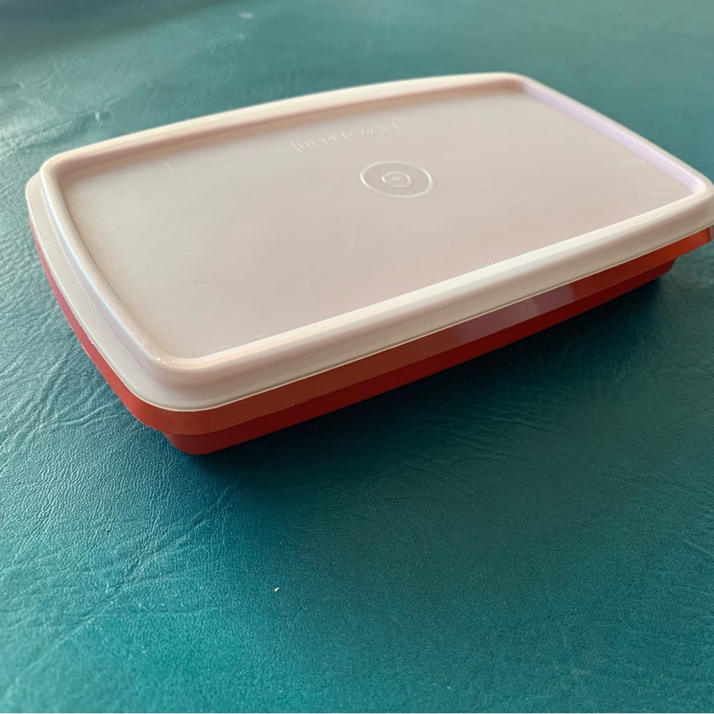 Vintage Tupperware paprika deli meat cheese keeper #816 #817